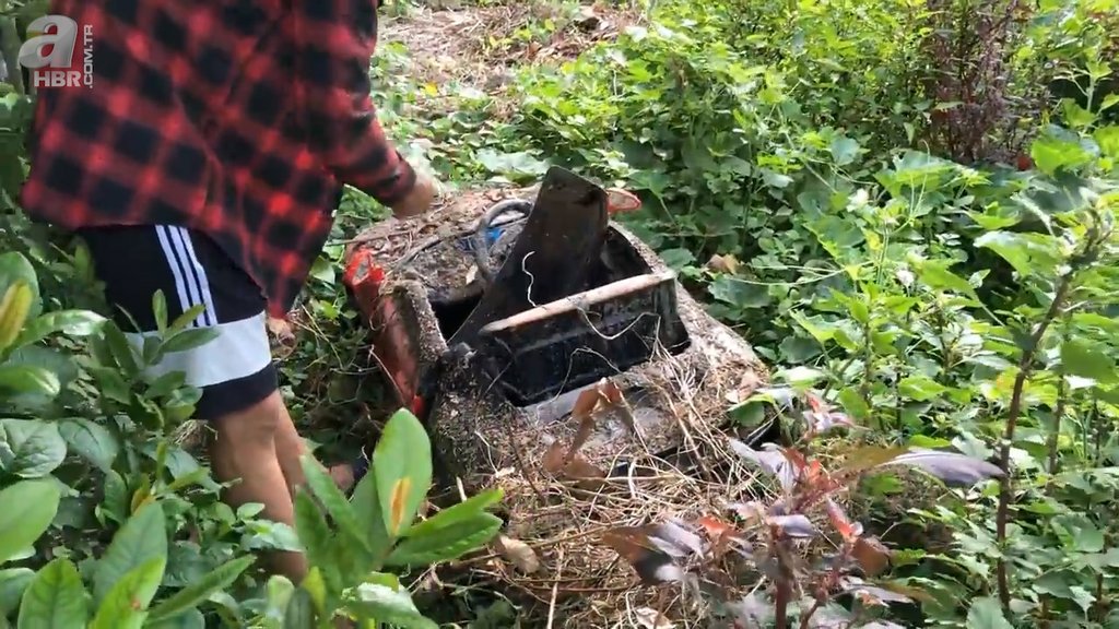 Çalıların arasında terk edilmiş Bugatti buldu! Restore ettiği arabanın son hali hayran bıraktı